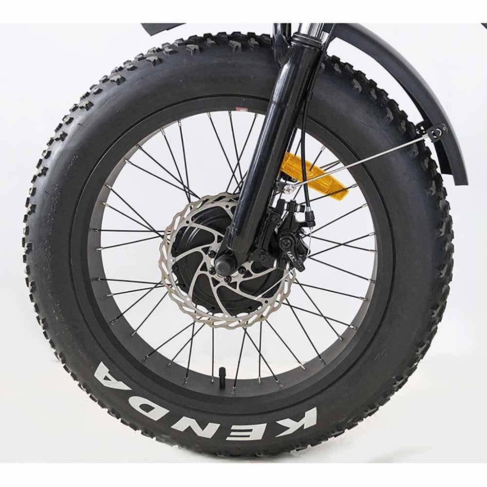 Products Daymak Florence Electric Bicycle 48V 3 Wheel Fat Tire Ebike Tire